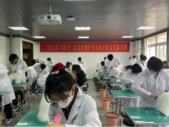 1653524728900202.png image.png