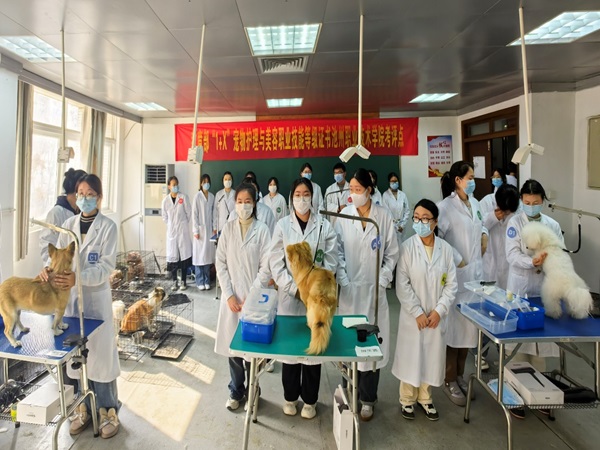 1704098003149800.jpg 图片4.jpg